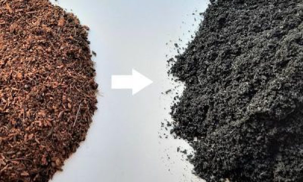 Biochar