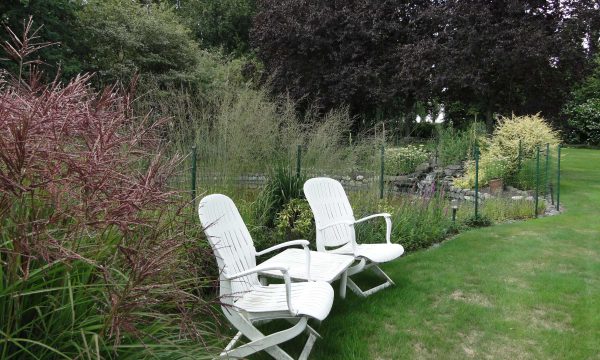 tuin met gazon en sierplanten