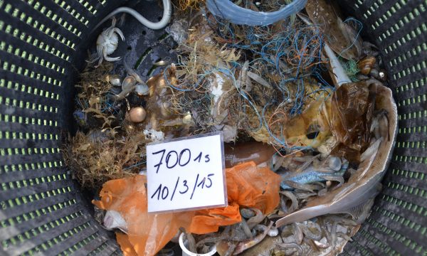 Macrolitter op de zeebodem van Belgische visserijgebieden