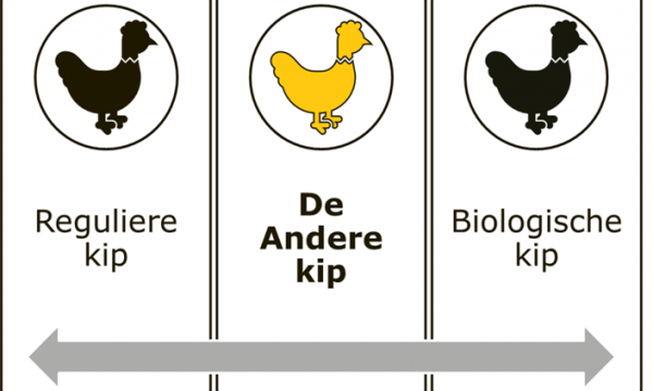 schematische weergave van de positie van "de andere kip" tot de reguliere kip en de biologische kip