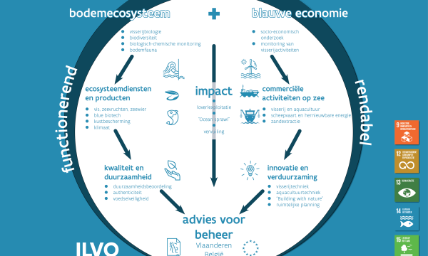 Impact ecosysteem Impact ecosysteem marien living lab