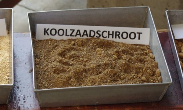 koolzaadschroot in een bak, met label