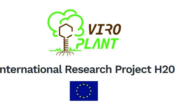 Viroplant project logo