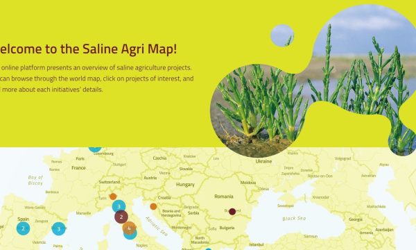 Saline agri map