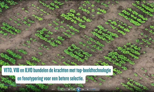 screenshot van de video waarop je een satellietbeeld van een veld ziet en de tekst "VITO, VIB en ILVO bundelen de krachten met top-beeldtechnologie en fenotypering voor een betere selectie"