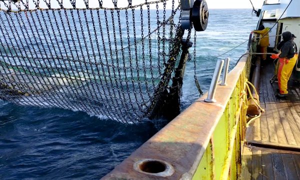 Vissers aan boord net in het water