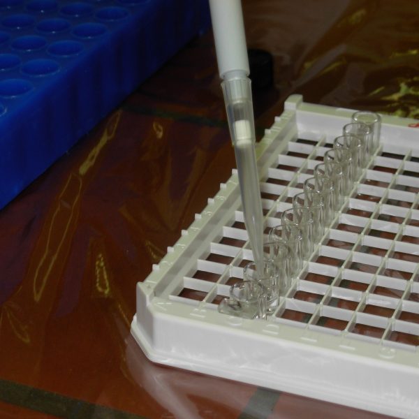 beeld van labo, waarbij een plaat wordt gevuld met micropipet