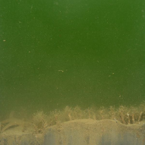 Underwater with profile of seabed