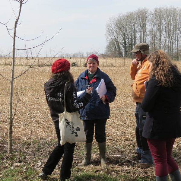 Vier warm geklede mensen praten op een veld over agroforestry. Naast de groep staat een boom.