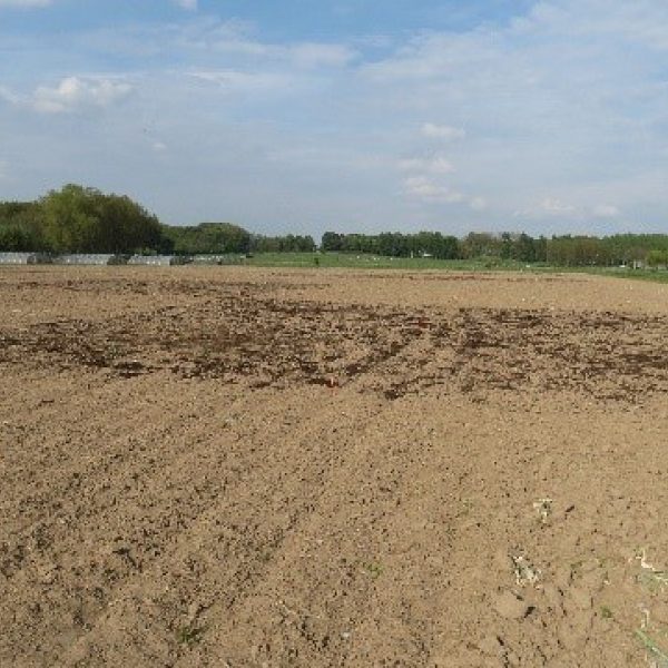 Compost lying on a fallow field