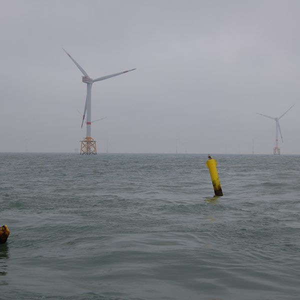 maricultuur in een windmolenpark: alleen de boeien en turbines zijn zichtbaar boven water