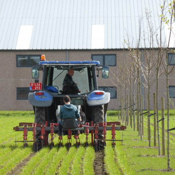 Een tractor op een veld met een bomenrij ernaast, dit is een vorm van agroforestry nl. alley croping.