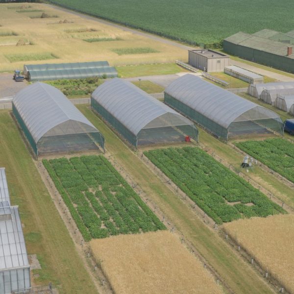 Luchtfoto van de droogteproeven met soja. In de verte staan regenkappen die over de kleine experimentele veldjes met verschillende sojavariëteiten geschoven kunnen worden om droogte te simuleren.