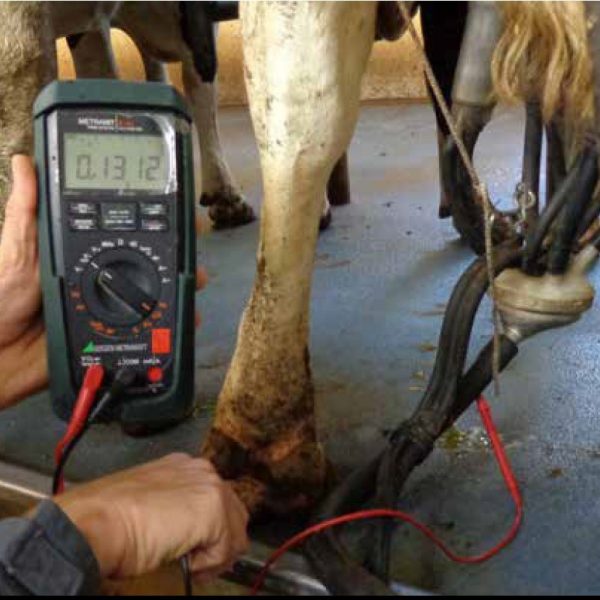 Volt meter with cows in the background