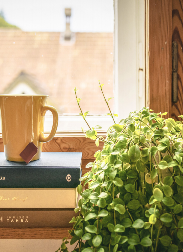 Kamerplant voor het raam naast een kopje thee op een stapel boeken