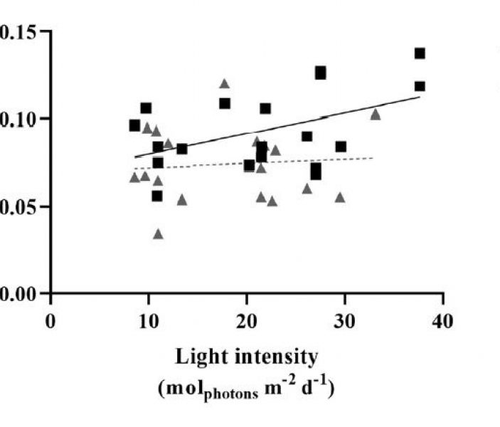 Graph productivity under different light intensity