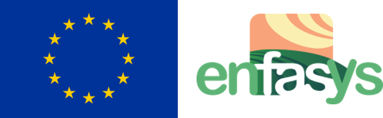 Enfasys and eu