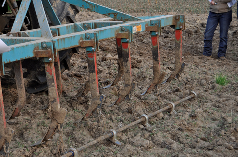 Cultivator with rod weeder, attached with a chain.