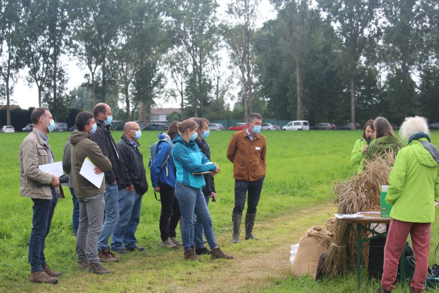Deelnemers luisteren naar de experten tijdens de demodag, hier bij het standje over bakgranen