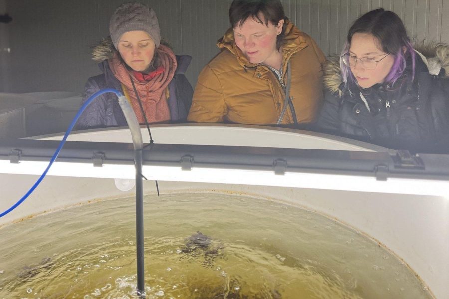 Oostende innovocean aquacultuur O-dag