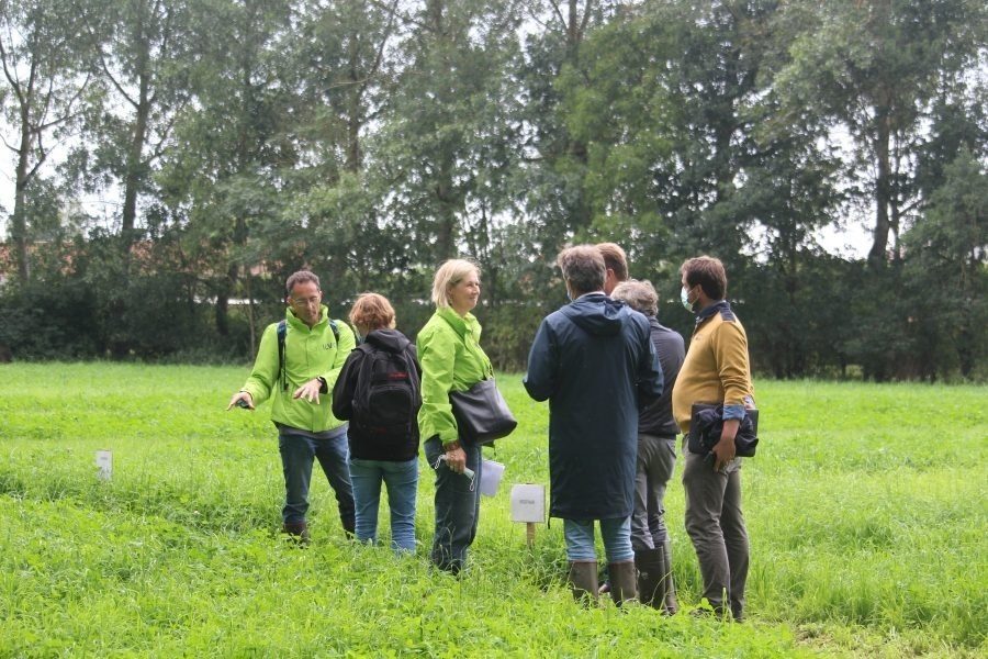 een groepje deelnemers staat te praten in de grasklaver tijdens de demodag in Hansbeke