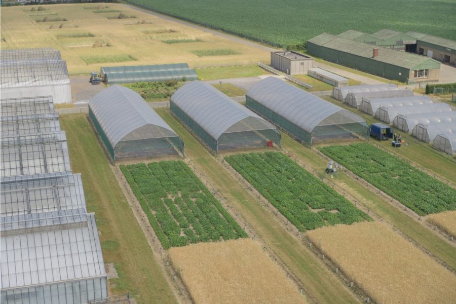 Luchtfoto van de droogteproeven met soja. In de verte staan regenkappen die over de kleine experimentele veldjes met verschillende sojavariëteiten geschoven kunnen worden om droogte te simuleren.
