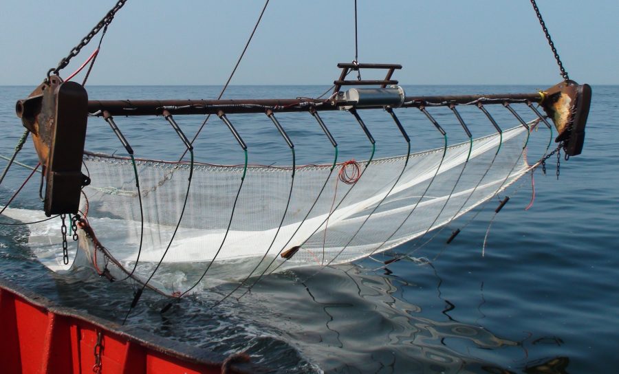 Een pulskor wordt uit het water getrokken