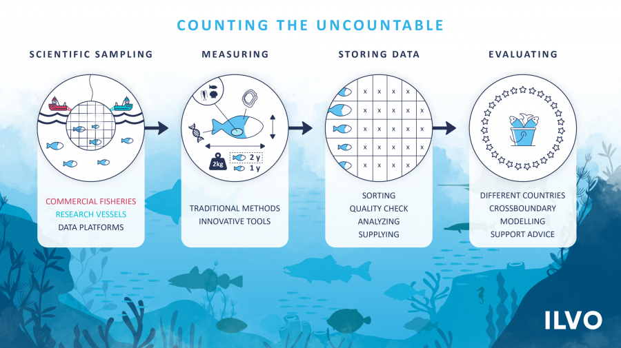 infgrafiek die het proces van dataverzameling voor de visserij toont