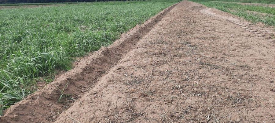 bare soil after passage
