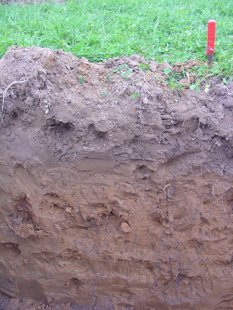 Soil profile