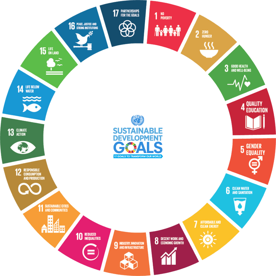 Cirkel met de 17 SDG's