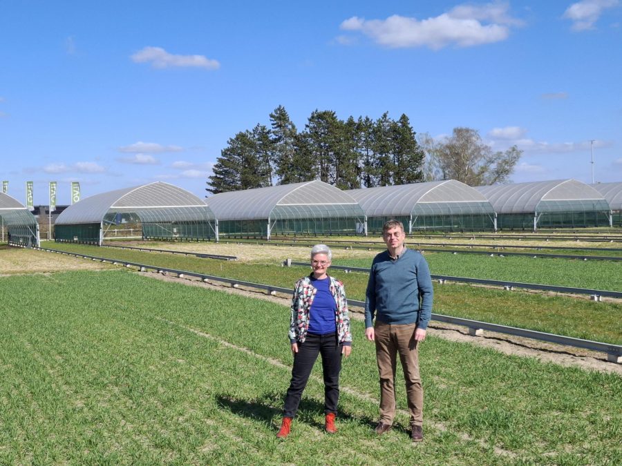 2 onderzoekers in het veld voor de HYDRAS droogtekappen