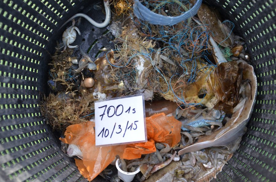 Marine litter on the seafloor