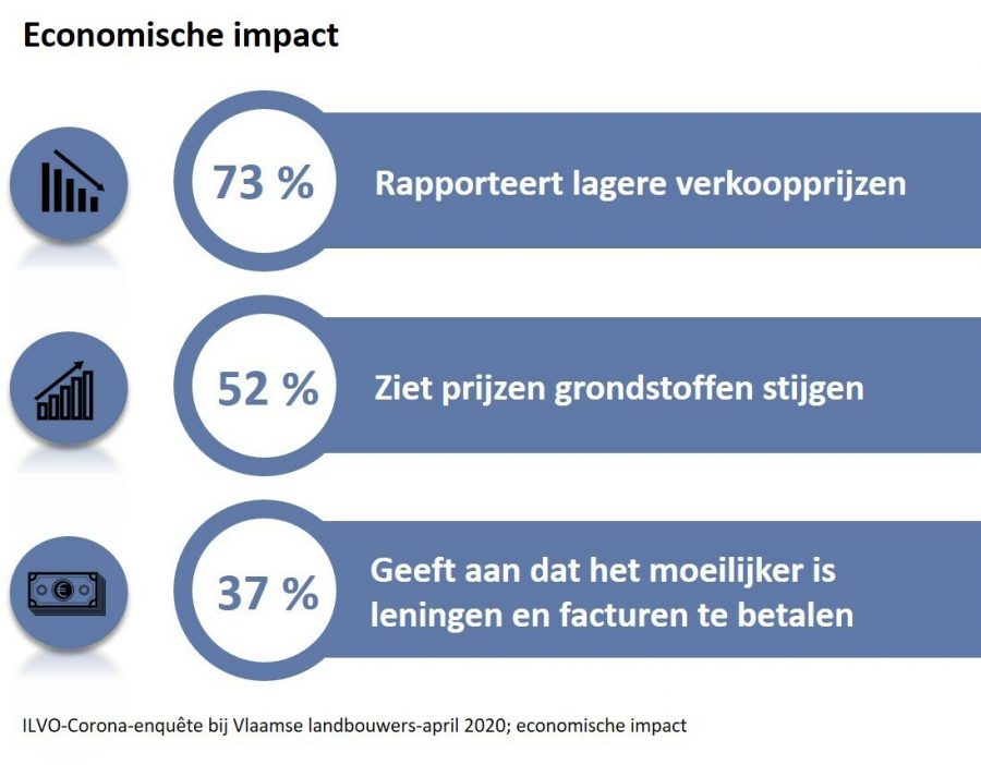 Resultaten van de ILVO-Corona enquête bij Vlaamse landbouwers-april 2020; economische impact. 73% rapporteert lagere verkoopprijzen, 52% ziet prijzen grondstoffen stijgen, 37% geeft aan dat het moeilijker is leningen en facturen te betalen.
