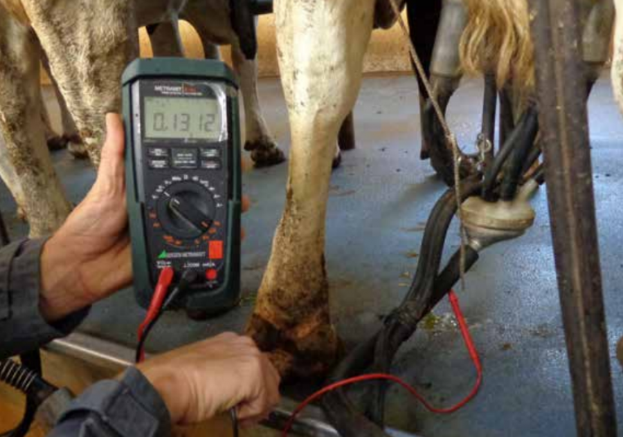 Voltage measurement in the milking apparatus