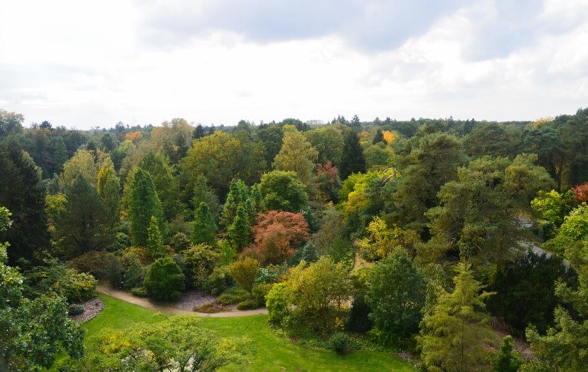 Een overzichtsbeeld van het Arboretum Bokrijk