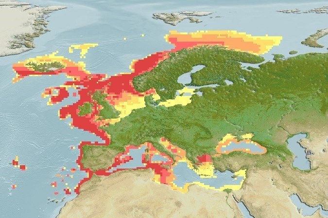 Kaart van Europa met verspreidingsgebied Zeeduivel