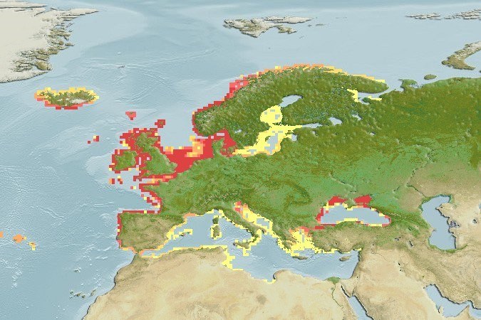 leefgebied van de Noordzeegarnaal (aquamaps, 2019)