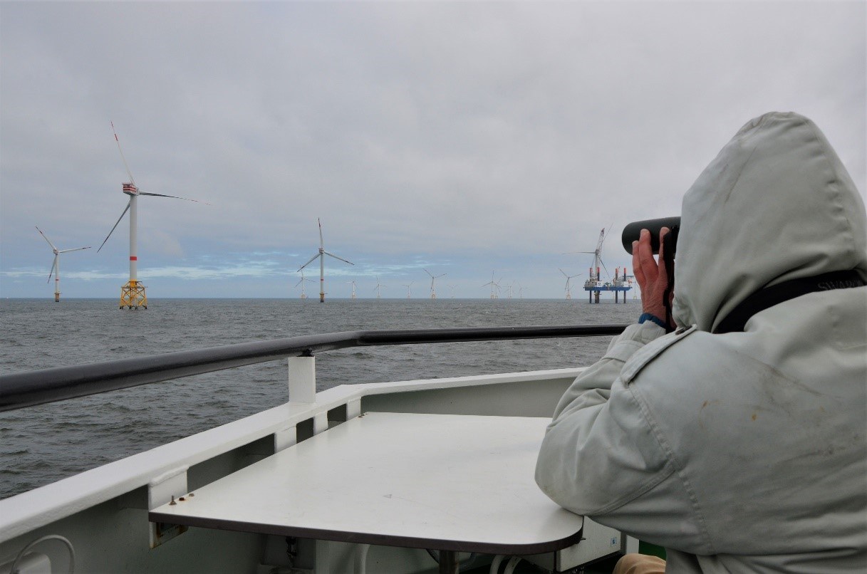 Zeevogelmonitoring in een Belgisch offshore windpark. ©INBO